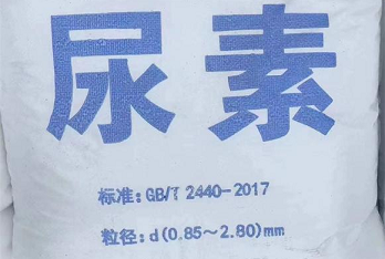 公司實力雄厚